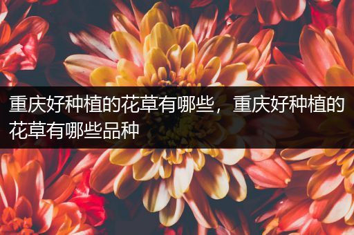 重庆好种植的花草有哪些，重庆好种植的花草有哪些品种