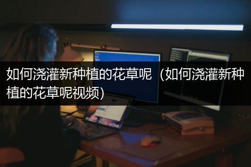 如何浇灌新种植的花草呢（如何浇灌新种植的花草呢视频）