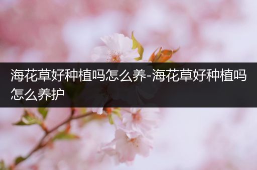 海花草好种植吗怎么养-海花草好种植吗怎么养护