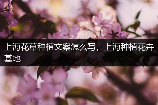 上海花草种植文案怎么写，上海种植花卉基地