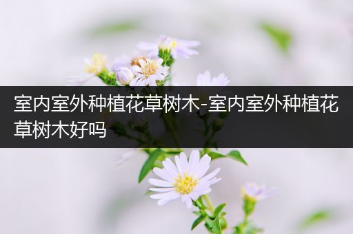 室内室外种植花草树木-室内室外种植花草树木好吗