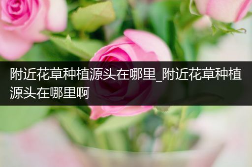 附近花草种植源头在哪里_附近花草种植源头在哪里啊