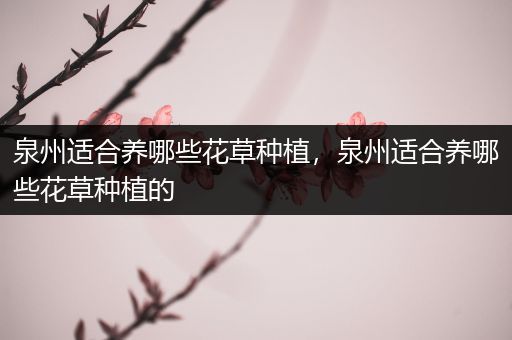 泉州适合养哪些花草种植，泉州适合养哪些花草种植的