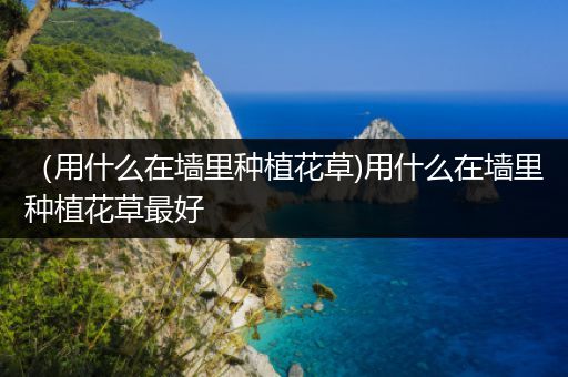 （用什么在墙里种植花草)用什么在墙里种植花草最好