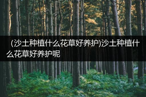（沙土种植什么花草好养护)沙土种植什么花草好养护呢