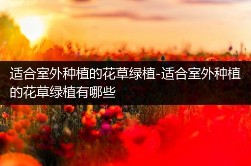 适合室外种植的花草绿植-适合室外种植的花草绿植有哪些