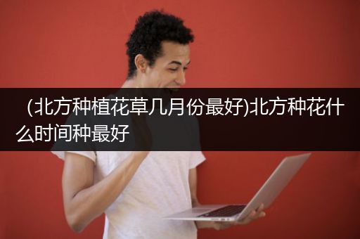（北方种植花草几月份最好)北方种花什么时间种最好