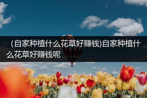 （自家种植什么花草好赚钱)自家种植什么花草好赚钱呢