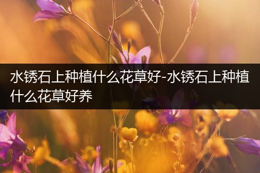 水锈石上种植什么花草好-水锈石上种植什么花草好养