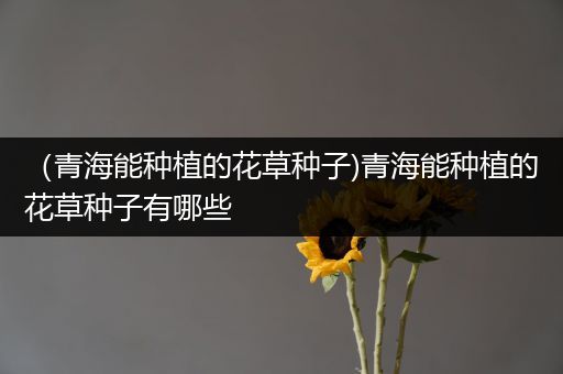 （青海能种植的花草种子)青海能种植的花草种子有哪些