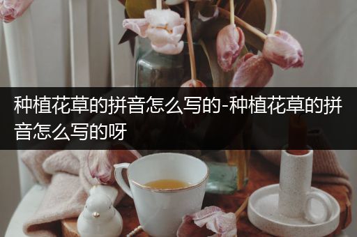 种植花草的拼音怎么写的-种植花草的拼音怎么写的呀
