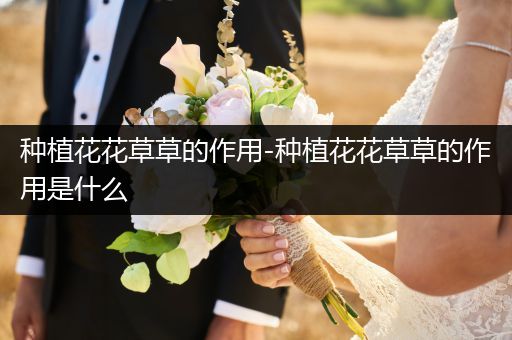 种植花花草草的作用-种植花花草草的作用是什么
