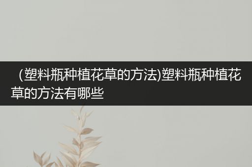 （塑料瓶种植花草的方法)塑料瓶种植花草的方法有哪些