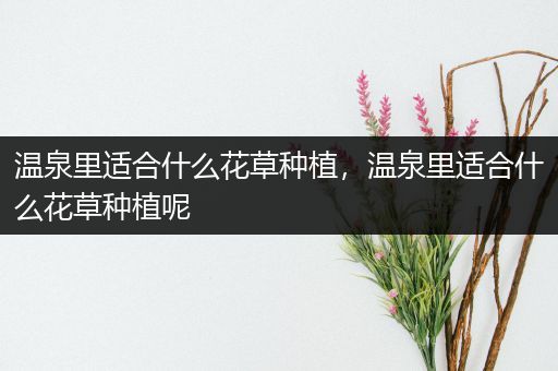 温泉里适合什么花草种植，温泉里适合什么花草种植呢