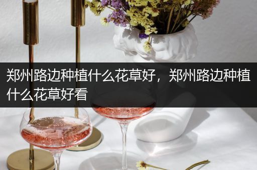 郑州路边种植什么花草好，郑州路边种植什么花草好看