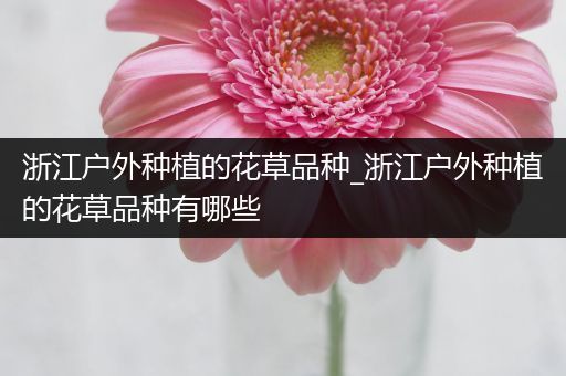 浙江户外种植的花草品种_浙江户外种植的花草品种有哪些