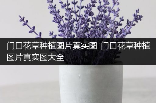 门口花草种植图片真实图-门口花草种植图片真实图大全