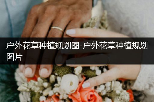 户外花草种植规划图-户外花草种植规划图片