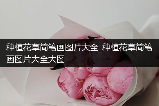 种植花草简笔画图片大全_种植花草简笔画图片大全大图