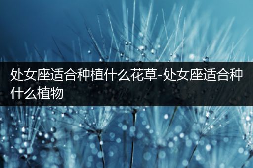 处女座适合种植什么花草-处女座适合种什么植物