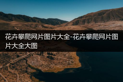 花卉攀爬网片图片大全-花卉攀爬网片图片大全大图