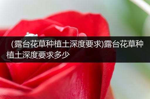 （露台花草种植土深度要求)露台花草种植土深度要求多少