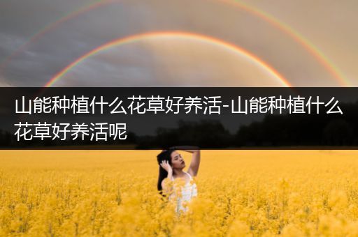 山能种植什么花草好养活-山能种植什么花草好养活呢