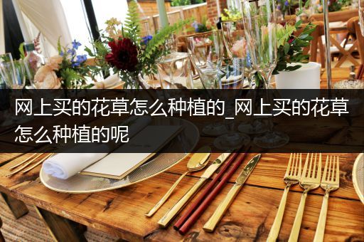 网上买的花草怎么种植的_网上买的花草怎么种植的呢