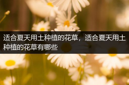 适合夏天用土种植的花草，适合夏天用土种植的花草有哪些