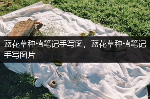 蓝花草种植笔记手写图，蓝花草种植笔记手写图片