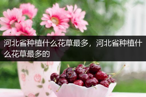 河北省种植什么花草最多，河北省种植什么花草最多的