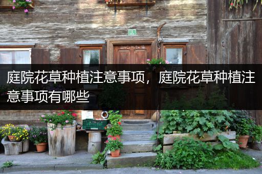 庭院花草种植注意事项，庭院花草种植注意事项有哪些