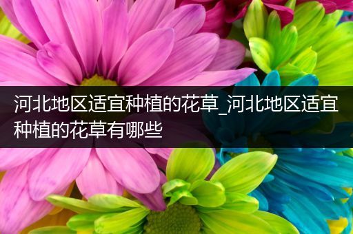 河北地区适宜种植的花草_河北地区适宜种植的花草有哪些