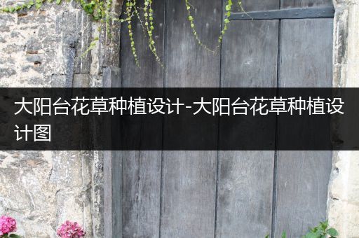 大阳台花草种植设计-大阳台花草种植设计图
