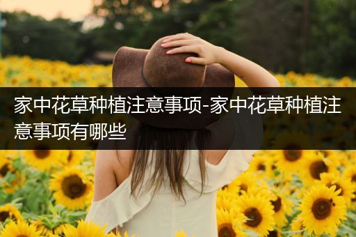 家中花草种植注意事项-家中花草种植注意事项有哪些