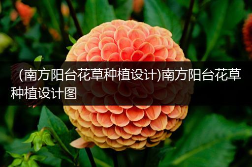 （南方阳台花草种植设计)南方阳台花草种植设计图