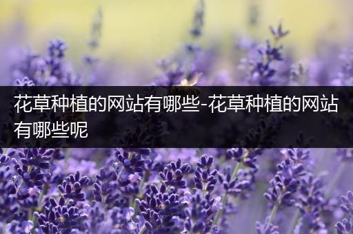花草种植的网站有哪些-花草种植的网站有哪些呢