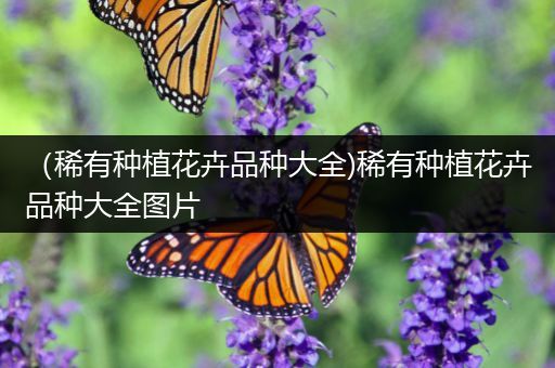 （稀有种植花卉品种大全)稀有种植花卉品种大全图片