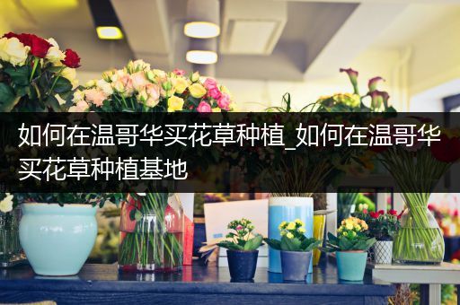 如何在温哥华买花草种植_如何在温哥华买花草种植基地