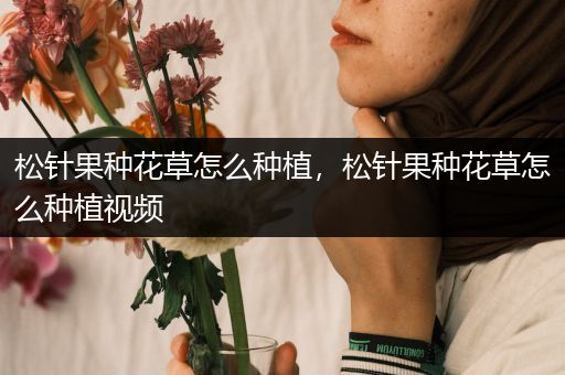 松针果种花草怎么种植，松针果种花草怎么种植视频