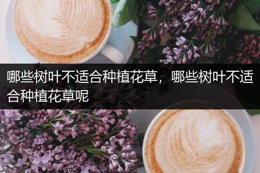 哪些树叶不适合种植花草，哪些树叶不适合种植花草呢