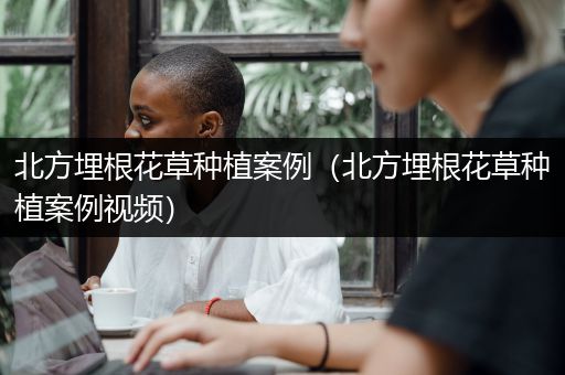 北方埋根花草种植案例（北方埋根花草种植案例视频）