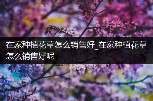 在家种植花草怎么销售好_在家种植花草怎么销售好呢