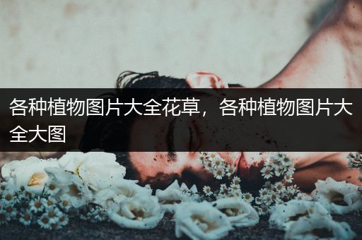 各种植物图片大全花草，各种植物图片大全大图