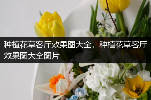 种植花草客厅效果图大全，种植花草客厅效果图大全图片