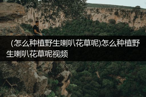（怎么种植野生喇叭花草呢)怎么种植野生喇叭花草呢视频