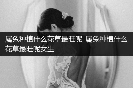 属兔种植什么花草最旺呢_属兔种植什么花草最旺呢女生