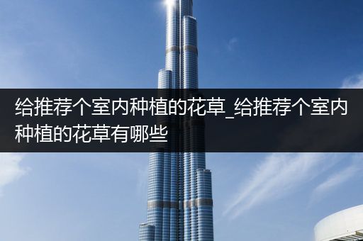 给推荐个室内种植的花草_给推荐个室内种植的花草有哪些