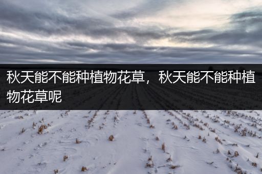 秋天能不能种植物花草，秋天能不能种植物花草呢