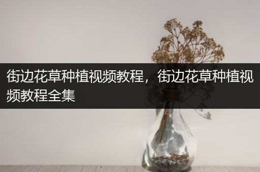 街边花草种植视频教程，街边花草种植视频教程全集